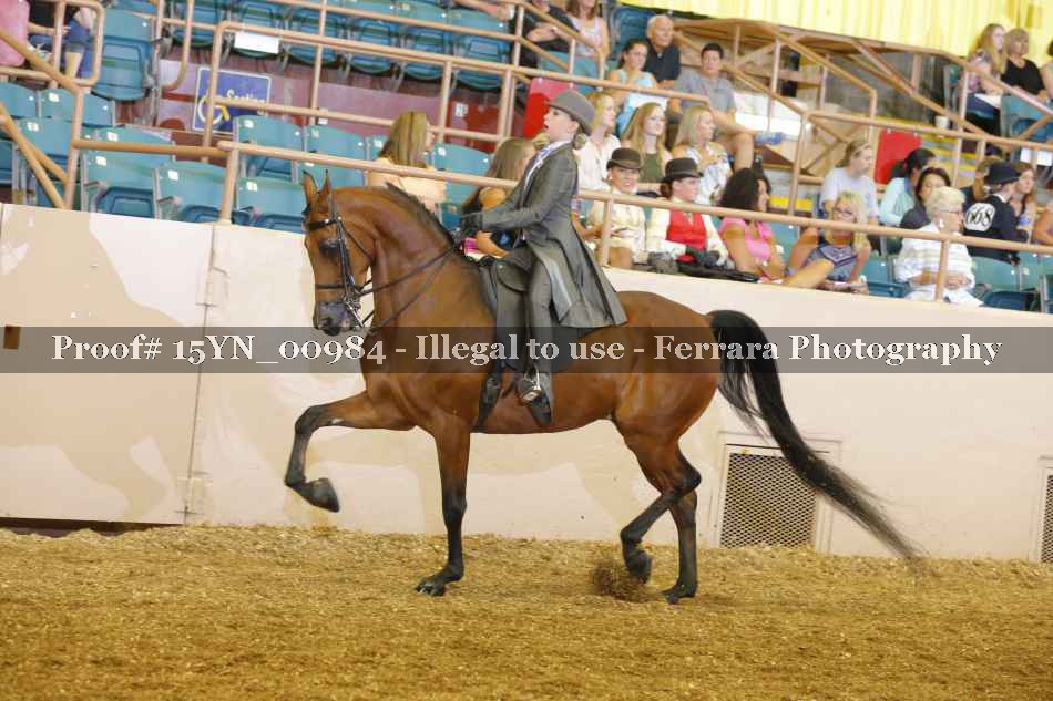 Proof 15YN_00984