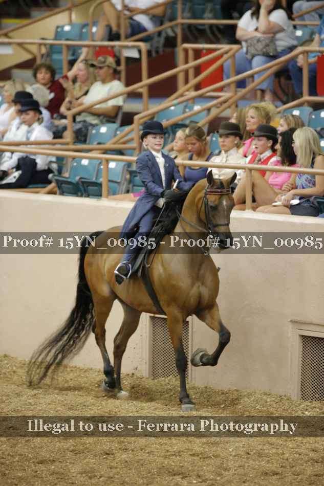 Proof 15YN_00985