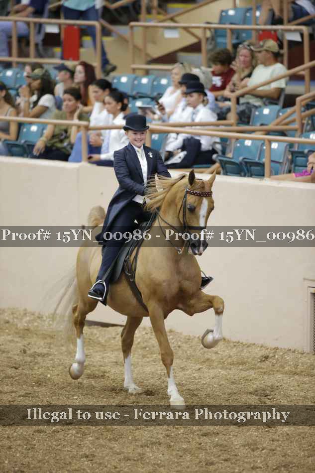 Proof 15YN_00986