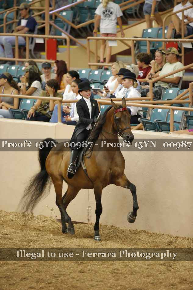 Proof 15YN_00987