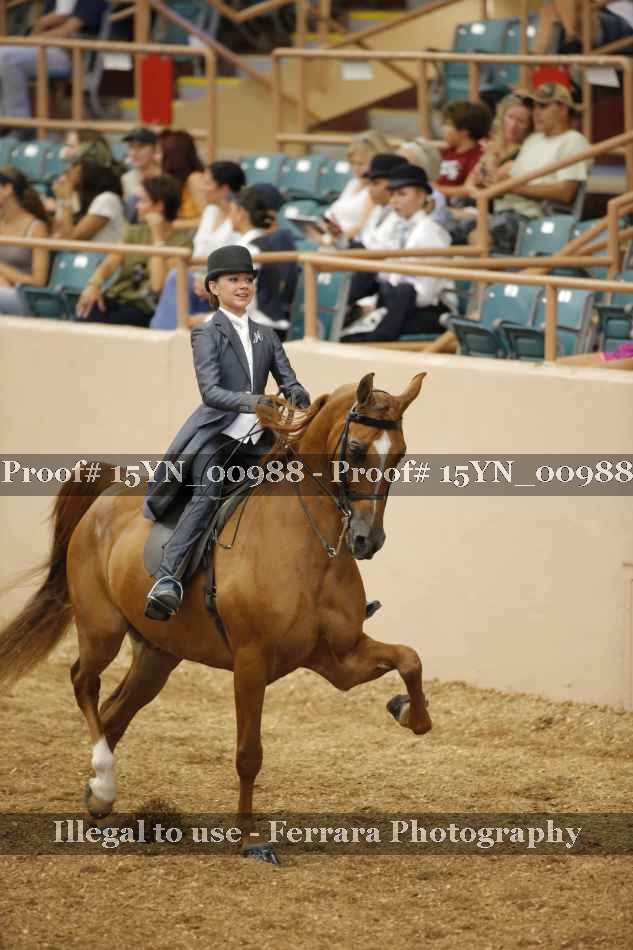 Proof 15YN_00988