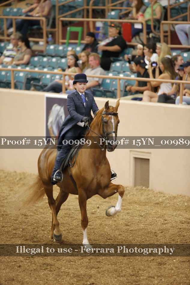 Proof 15YN_00989