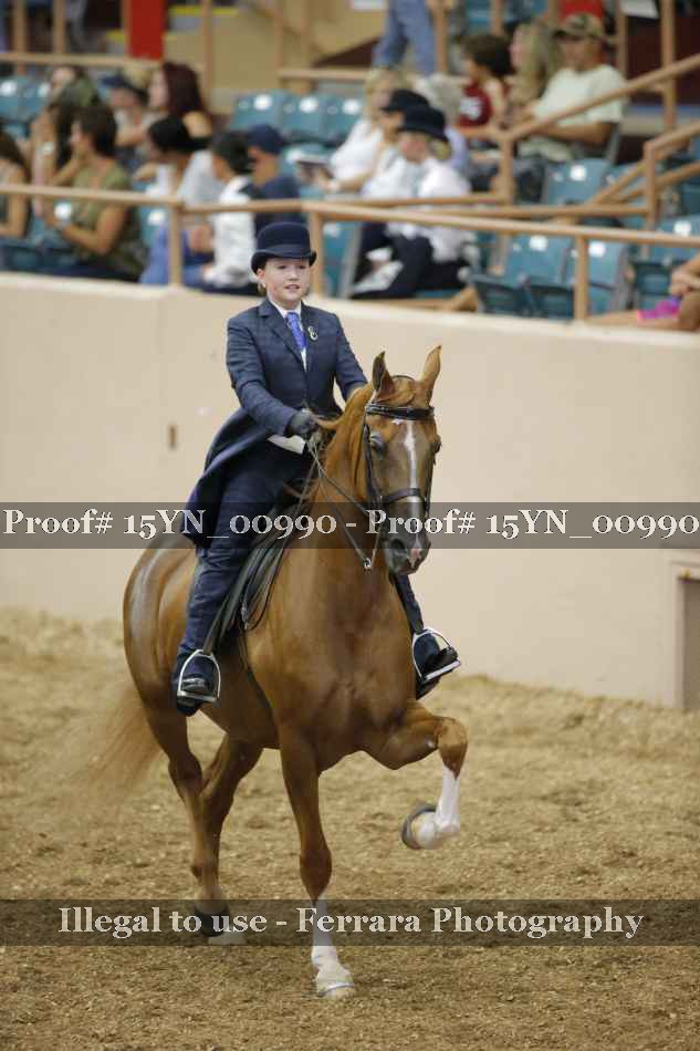 Proof 15YN_00990