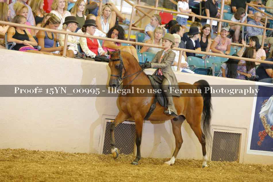 Proof 15YN_00995