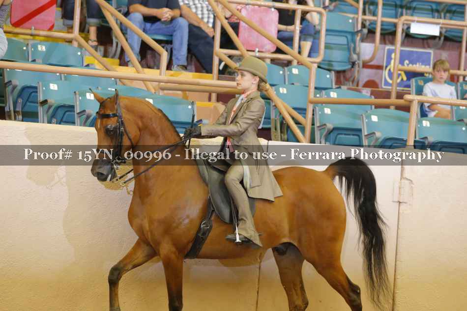 Proof 15YN_00996