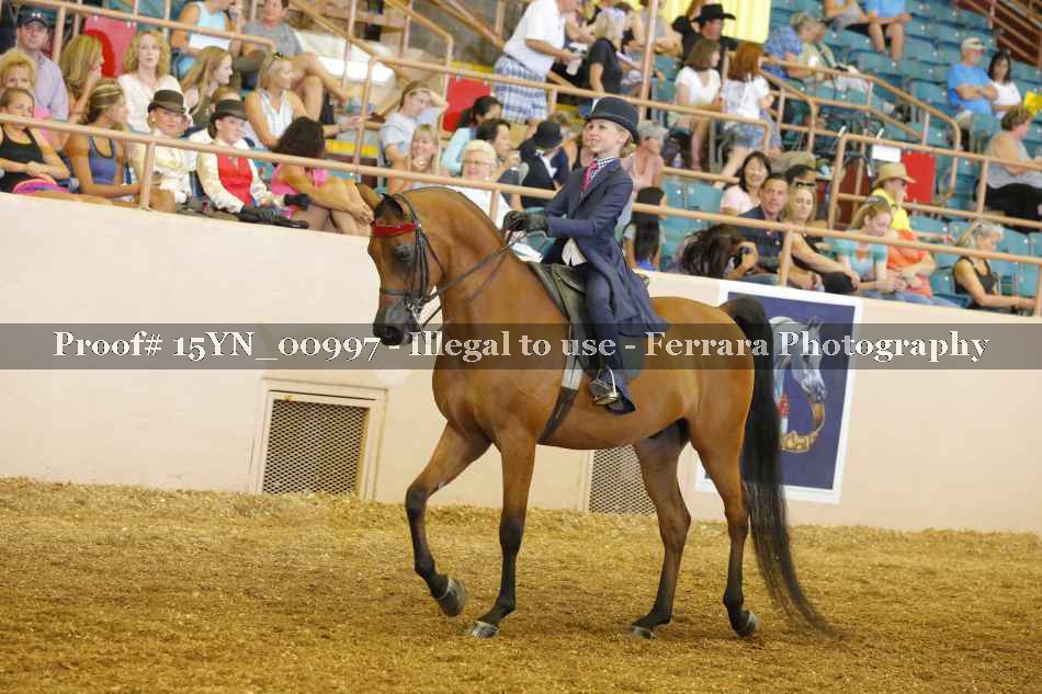 Proof 15YN_00997