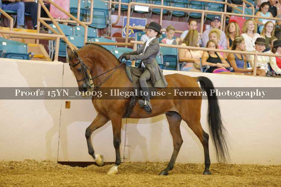 Proof 15YN_01003