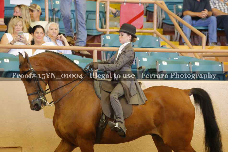 Proof 15YN_01004