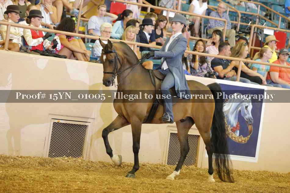 Proof 15YN_01005