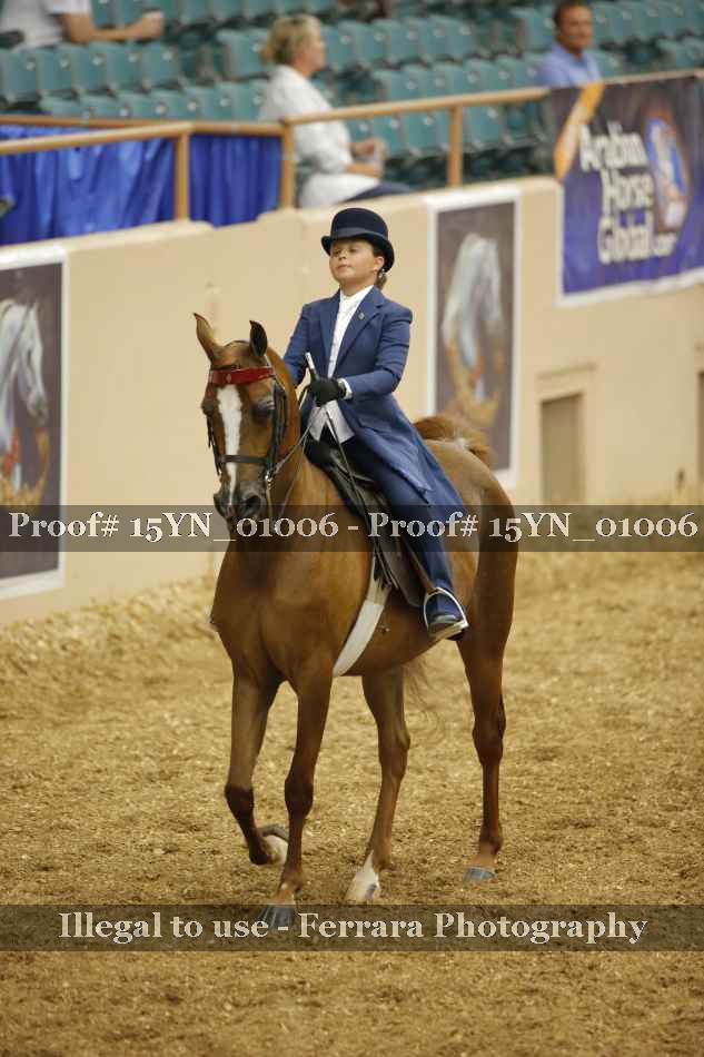 Proof 15YN_01006