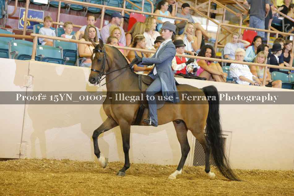 Proof 15YN_01007