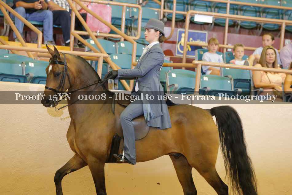 Proof 15YN_01008