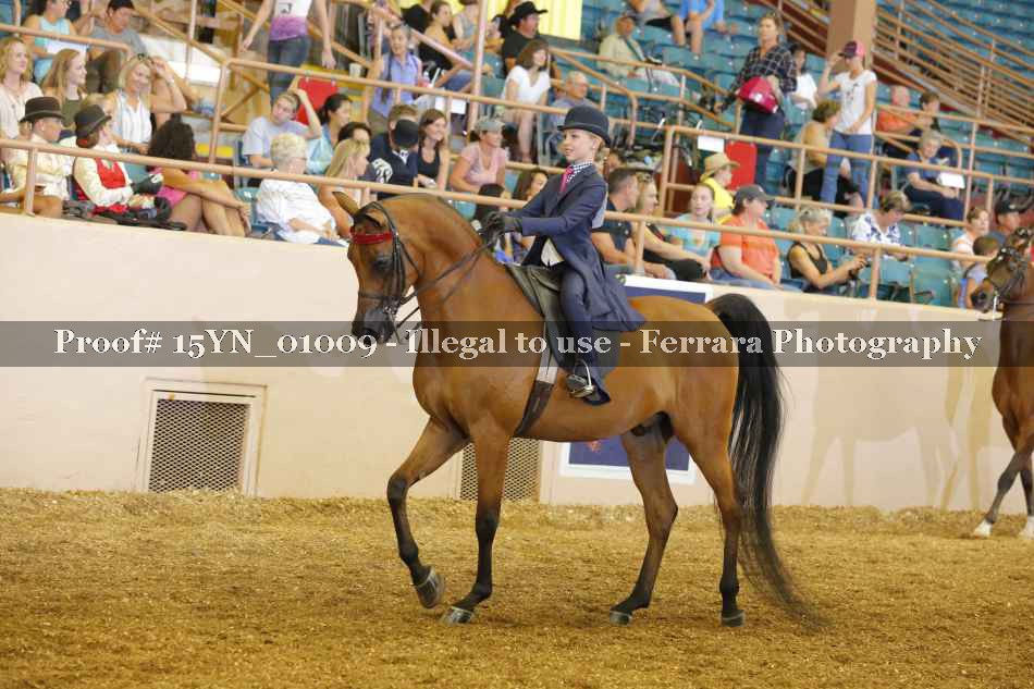 Proof 15YN_01009
