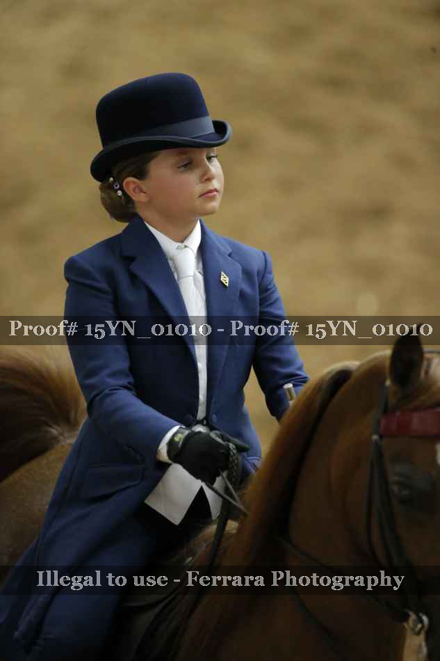 Proof 15YN_01010