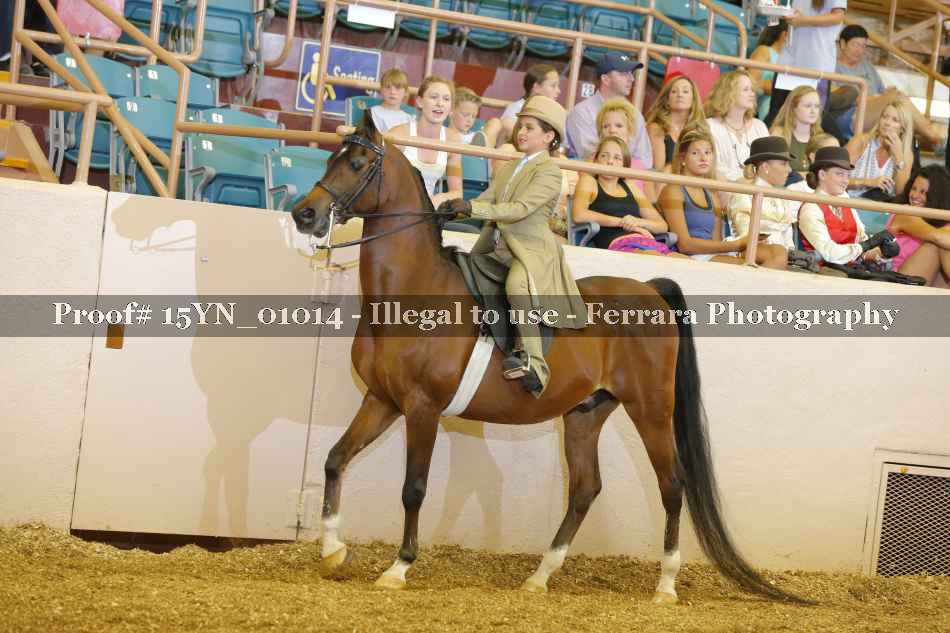 Proof 15YN_01014