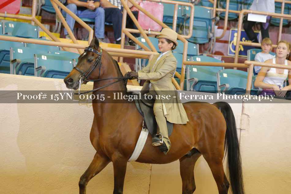 Proof 15YN_01015