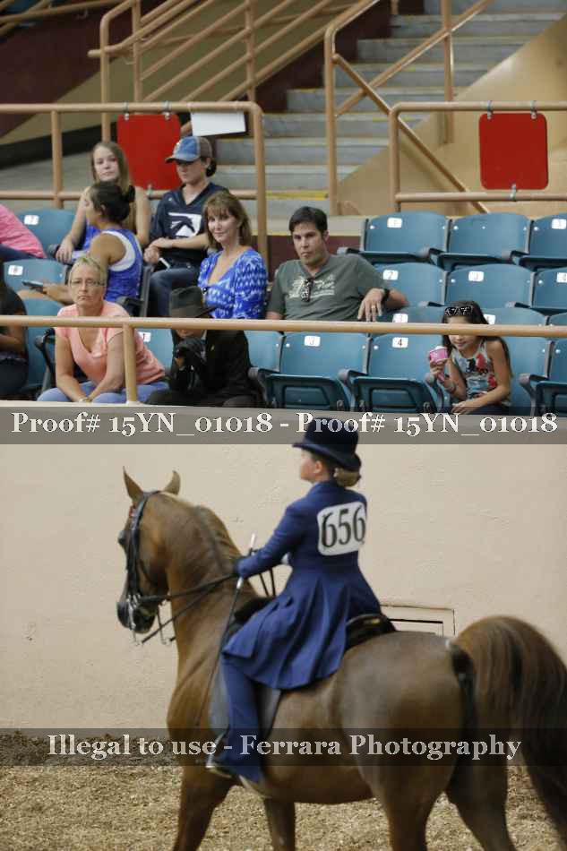 Proof 15YN_01018