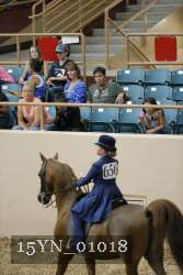 15YN_01018 proof