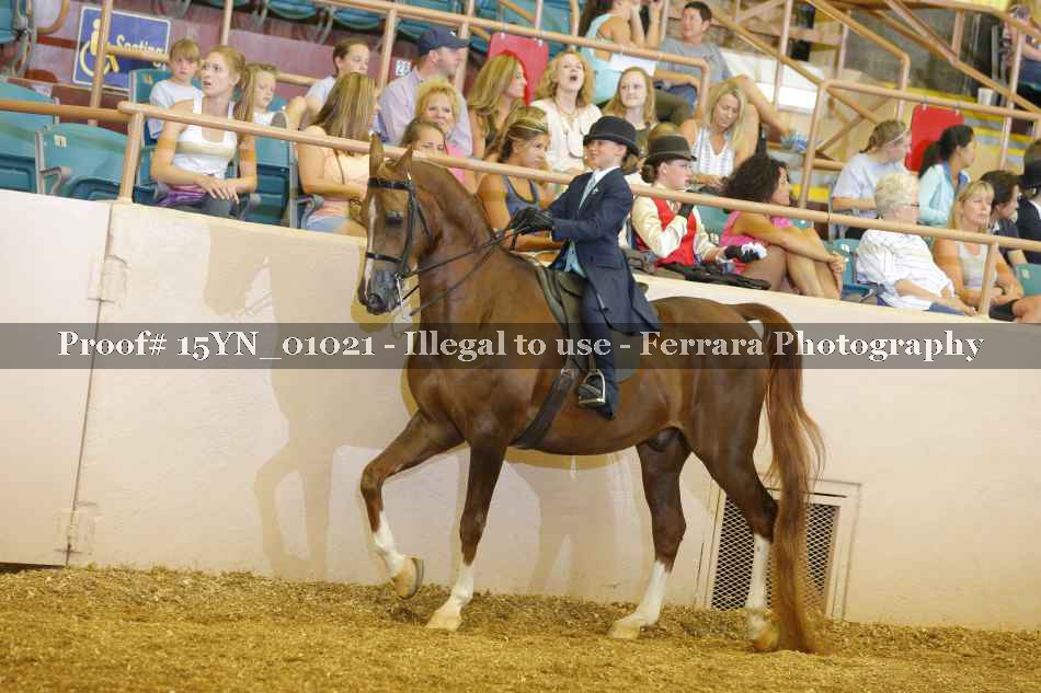 Proof 15YN_01021