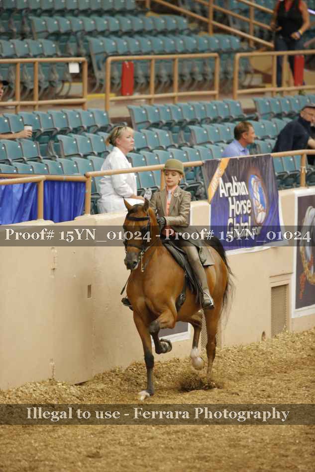 Proof 15YN_01024