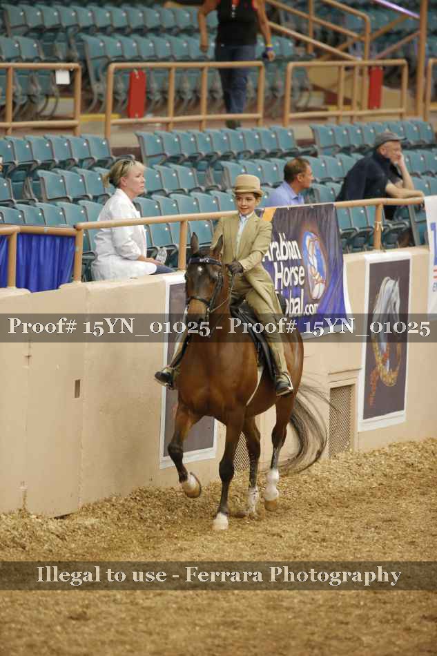 Proof 15YN_01025