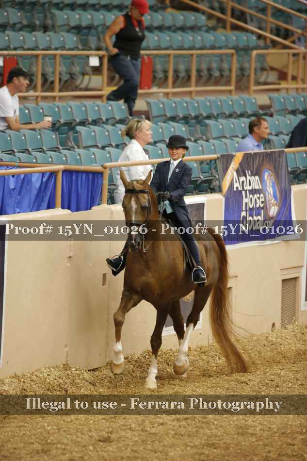 Proof 15YN_01026