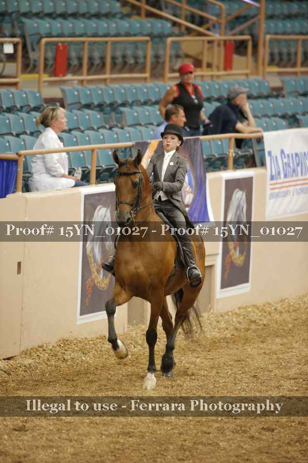 Proof 15YN_01027