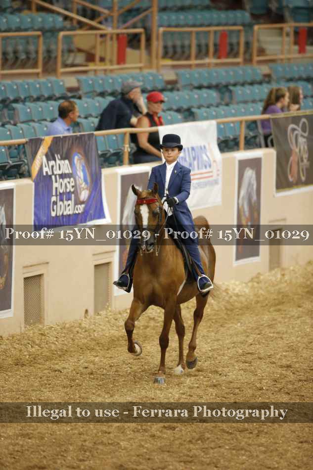 Proof 15YN_01029