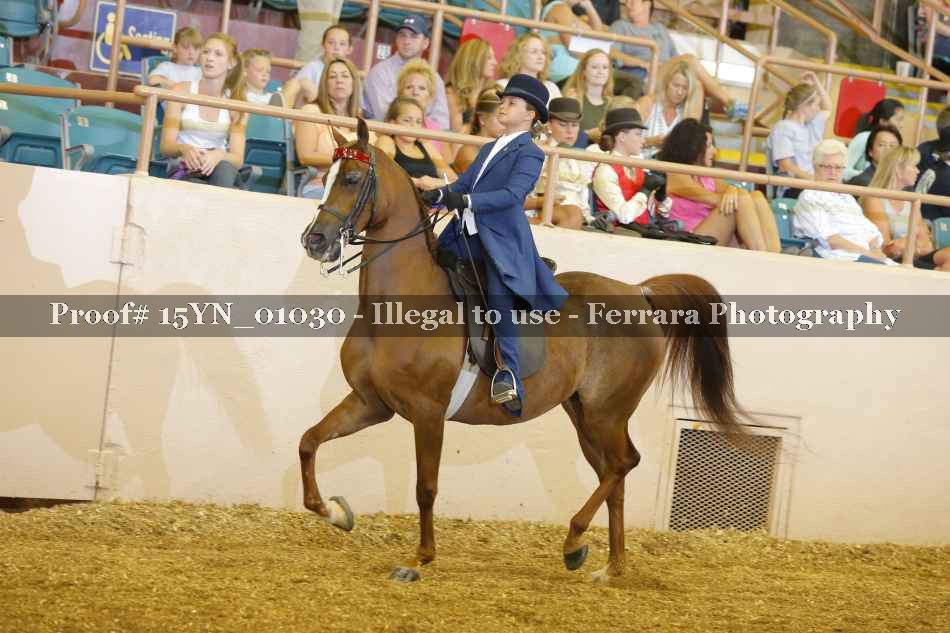 Proof 15YN_01030