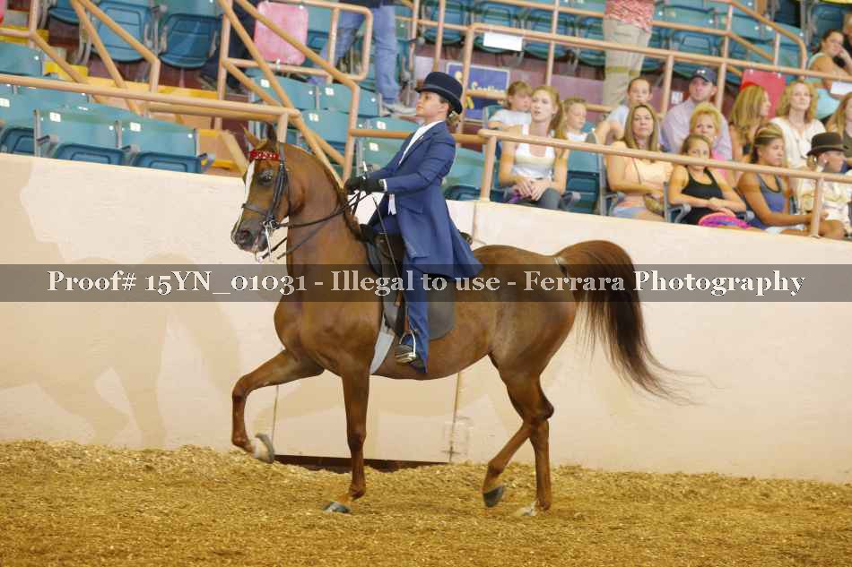Proof 15YN_01031