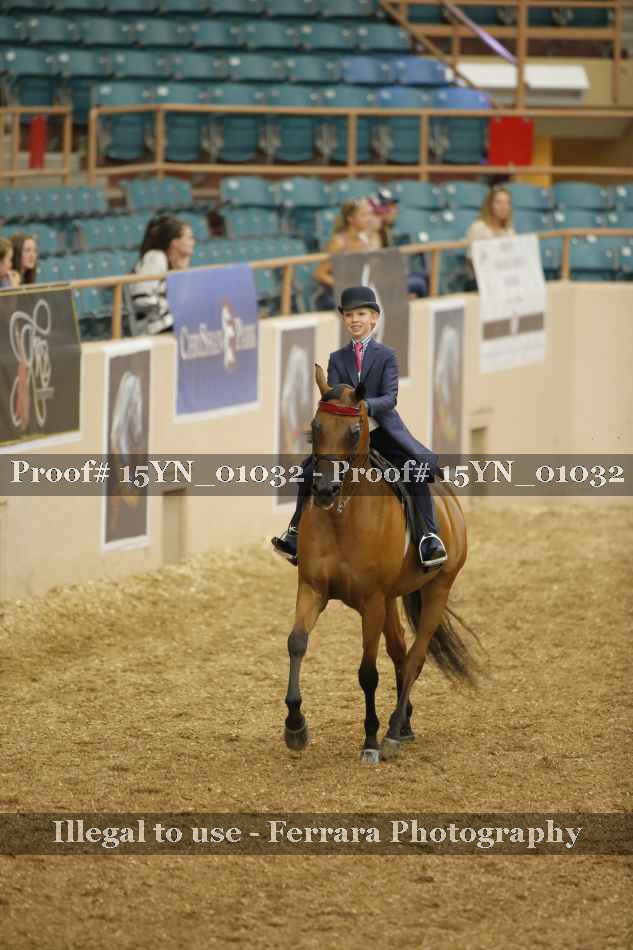 Proof 15YN_01032