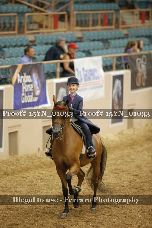Proof 15YN_01033