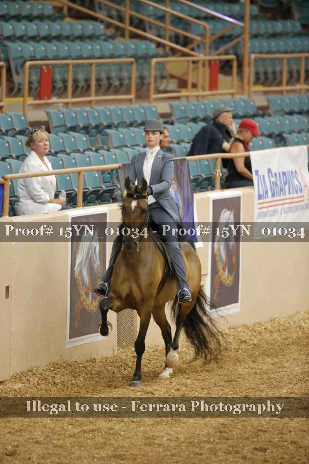 Proof 15YN_01034