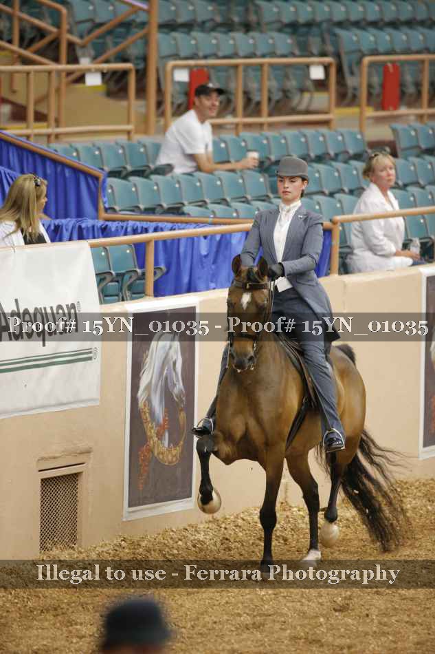 Proof 15YN_01035