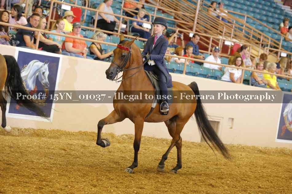 Proof 15YN_01037