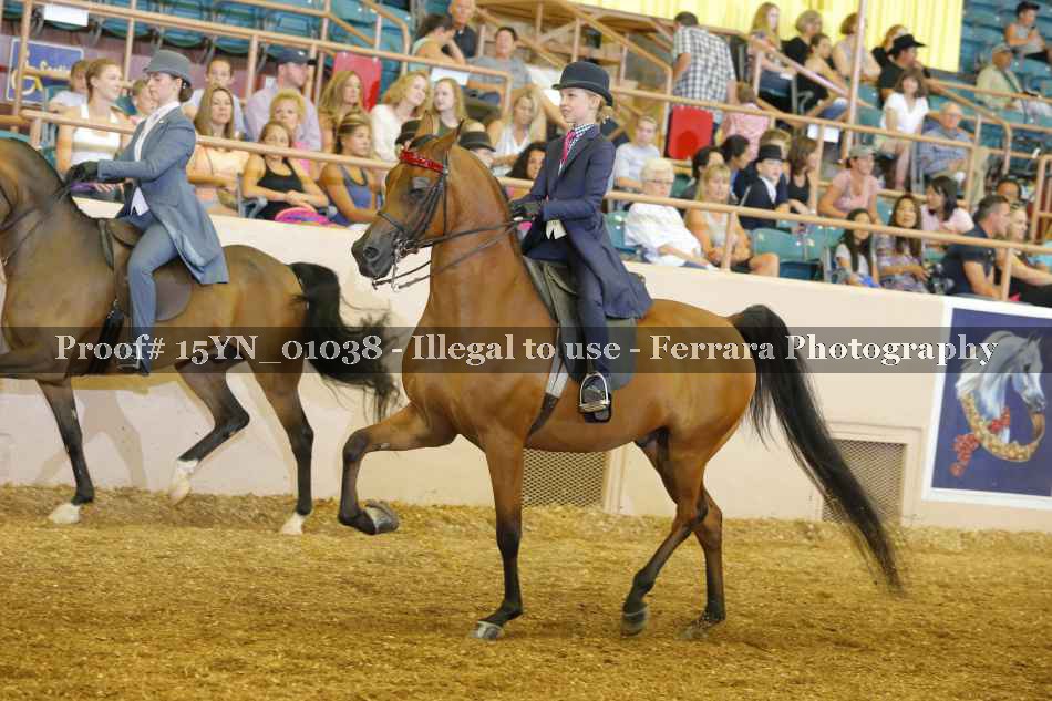 Proof 15YN_01038