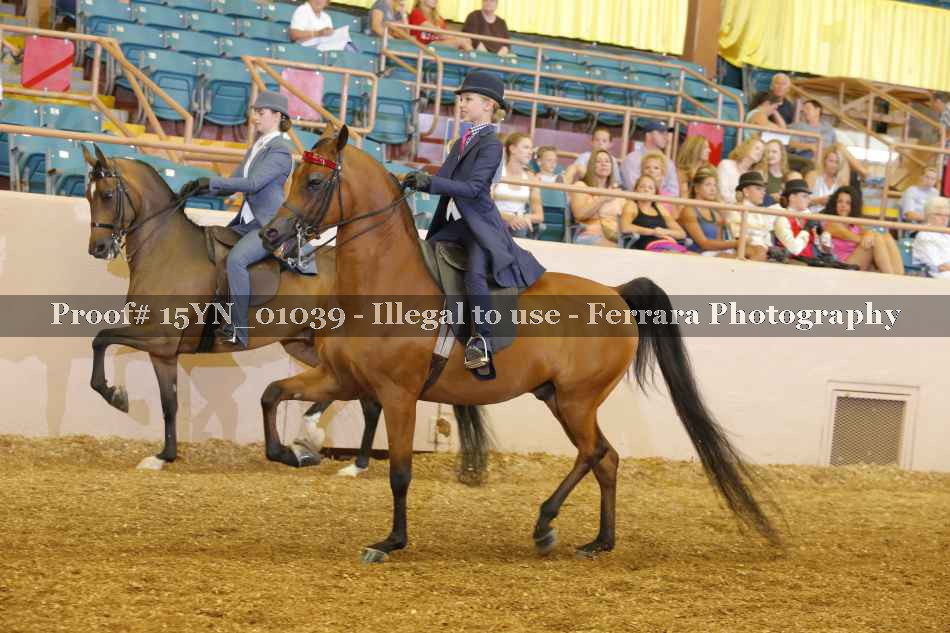 Proof 15YN_01039