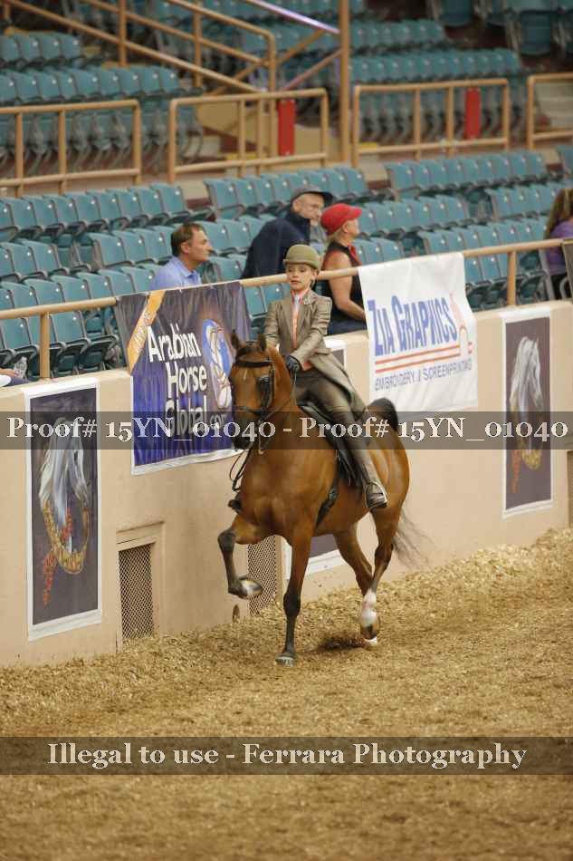 Proof 15YN_01040