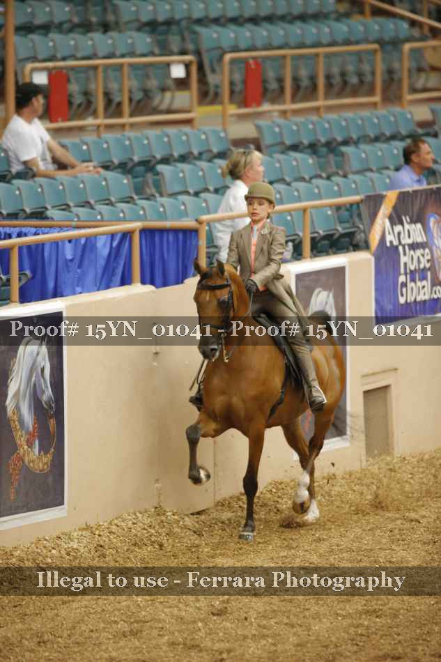 Proof 15YN_01041