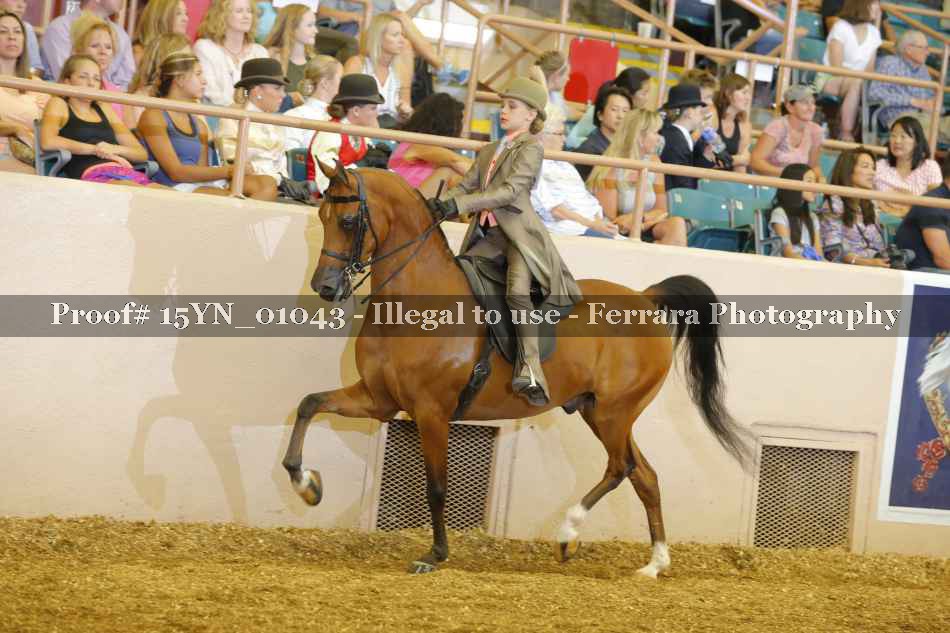 Proof 15YN_01043