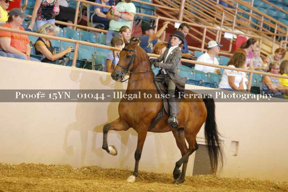 Proof 15YN_01044