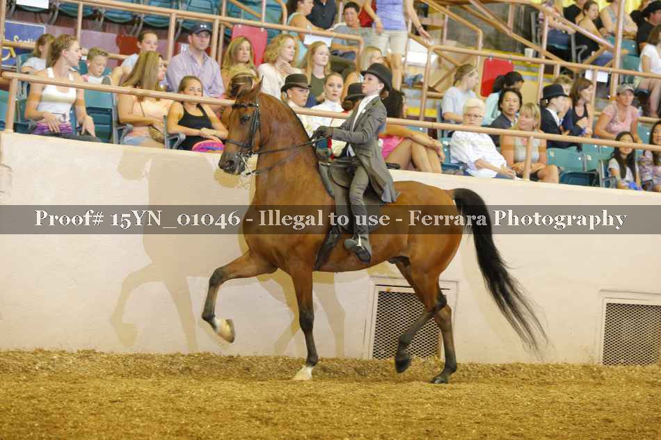 Proof 15YN_01046