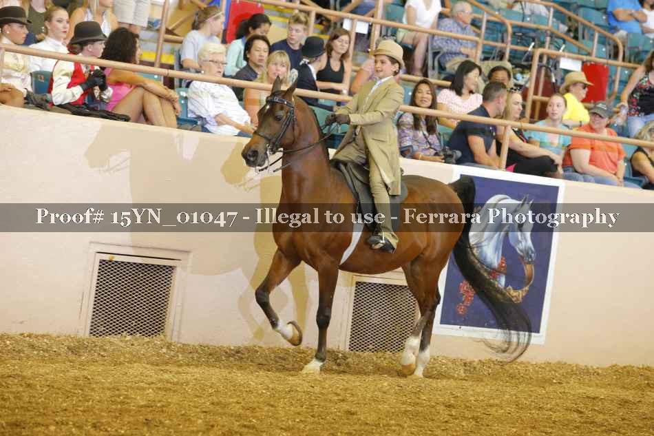 Proof 15YN_01047