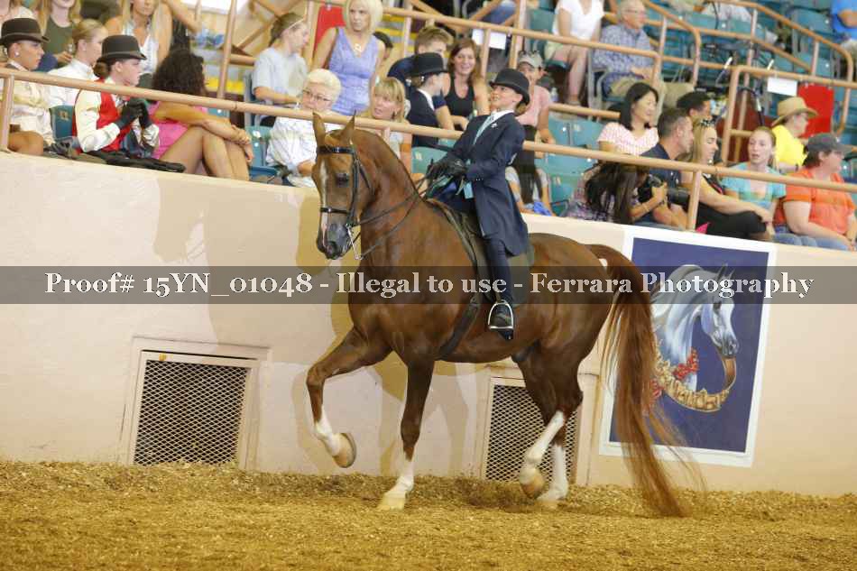 Proof 15YN_01048