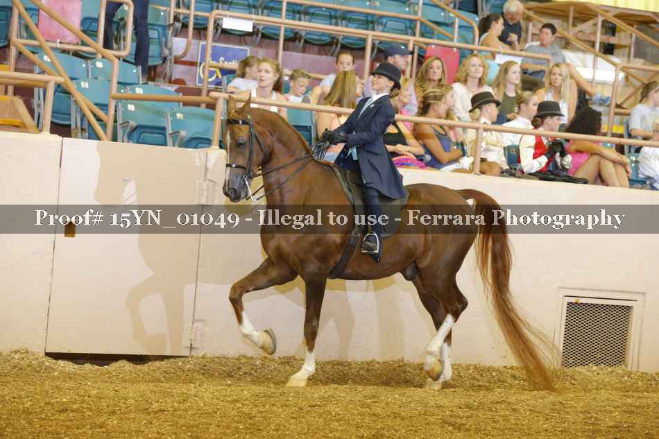 Proof 15YN_01049