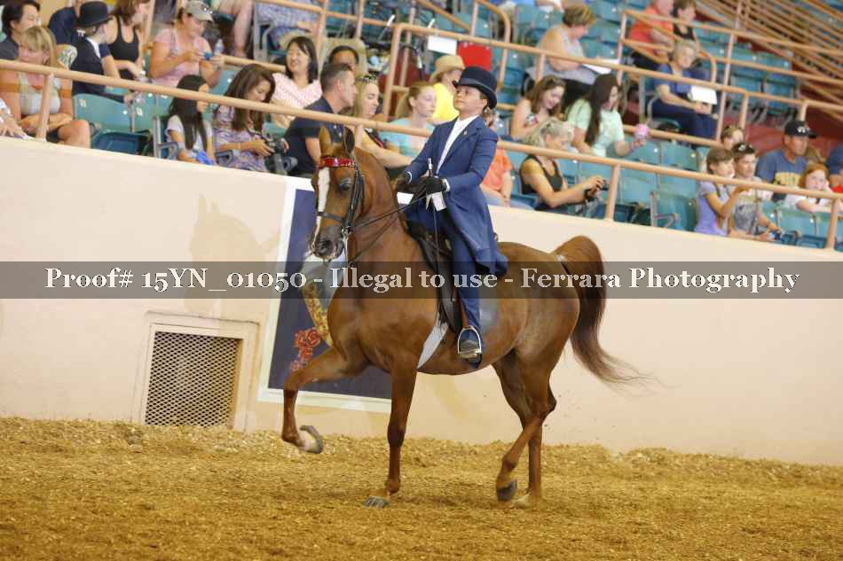 Proof 15YN_01050