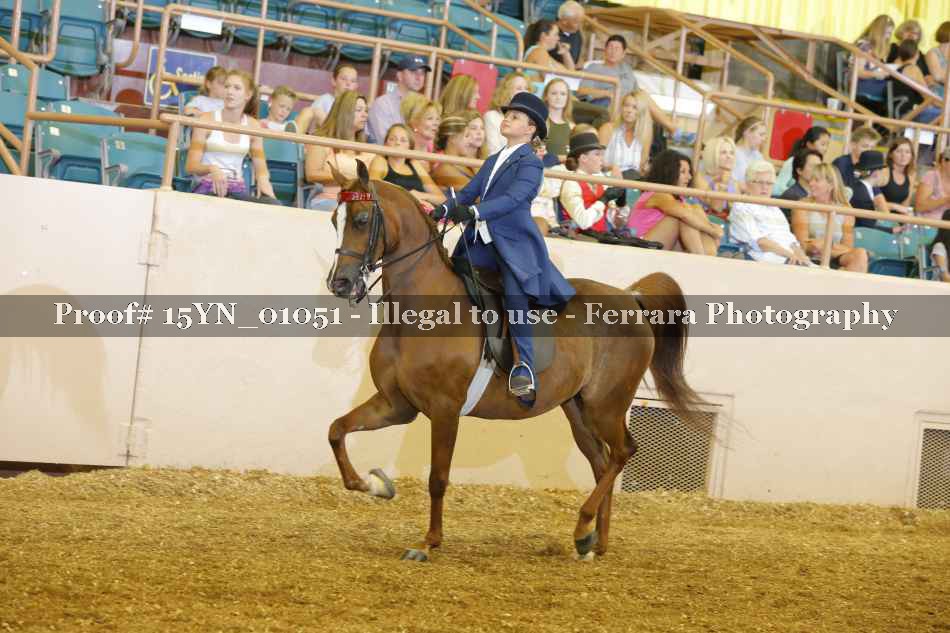Proof 15YN_01051