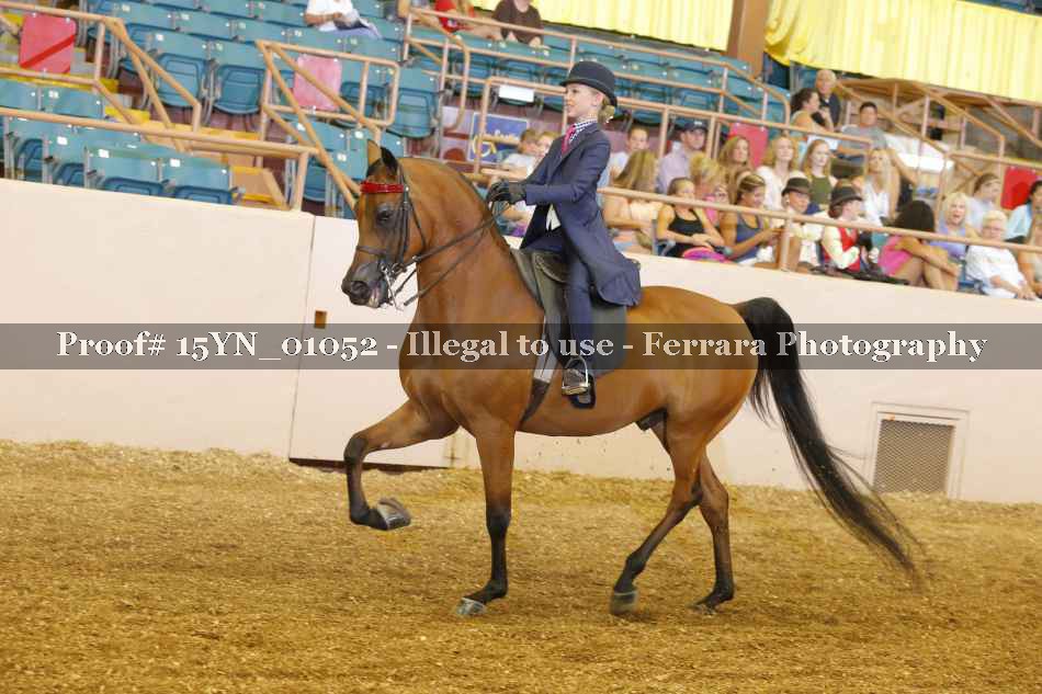 Proof 15YN_01052
