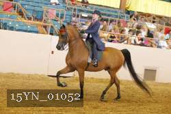 15YN_01052 proof