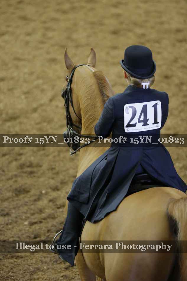 Proof 15YN_01823